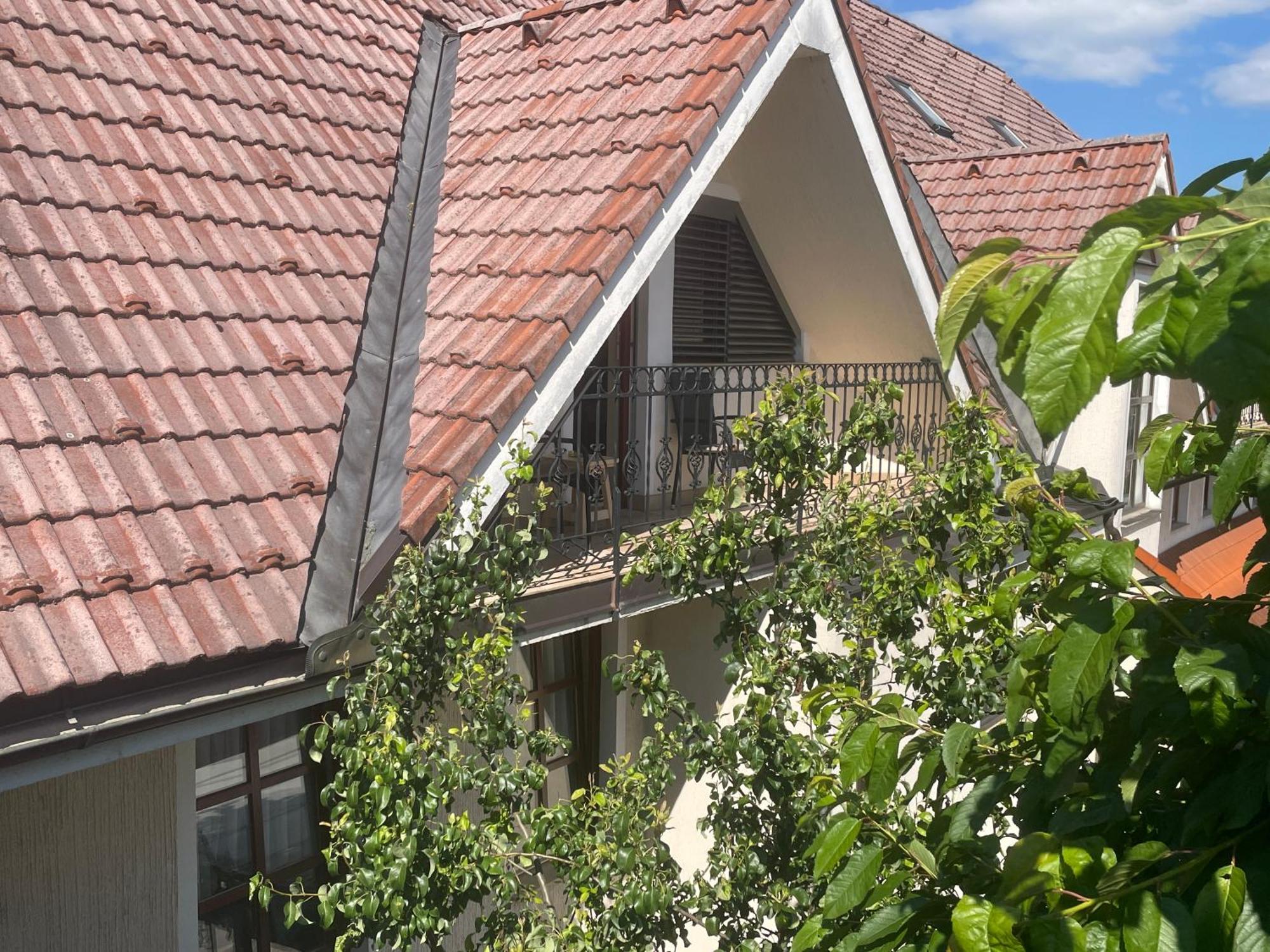 Guesthouse Jurcek Zrece Ngoại thất bức ảnh